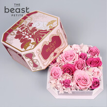 THEBEAST\/野兽派 枪炮-弗洛伊德9支礼盒生日