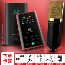 森然（Seeknature）  手持 麥克風(fēng) 播吧II電音版+MS-3 大振膜套裝