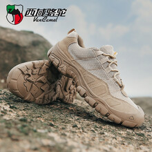 西域駱駝（Van CameL）男士5188卡其-網(wǎng)面 39