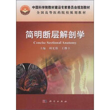 斷層解剖學(xué)