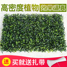 精致創(chuàng  )意花瓶，讓你的家四季如春