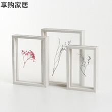植物標(biāo)本新創(chuàng)意