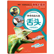 放大鏡
