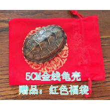 創(chuàng)意精致擺件，讓你的家不再單調(diào)