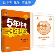 中考專項