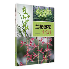 蘭花