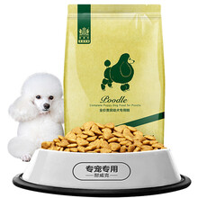 貴賓犬幼犬
