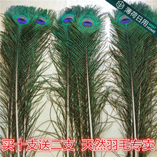 精致客廳擺件，打造溫馨家居生活
