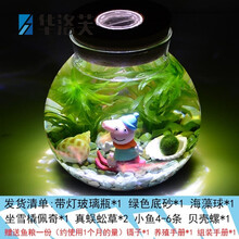 魚下小魚