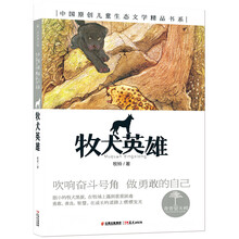 中國兒童文學(xué)