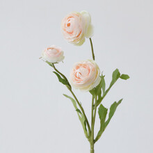 裝飾生活，創(chuàng)意花瓶讓你愛上家