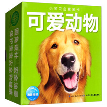 可愛動(dòng)物
