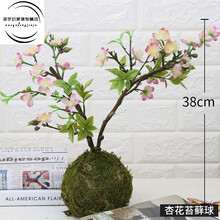 精美復古花瓶，裝點(diǎn)你的田園風(fēng)