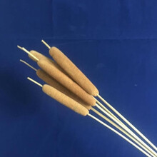 田園風(fēng)格干花