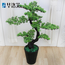 桃花樹下