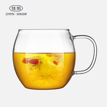 佳佰玻璃杯500ml，401-500ml
