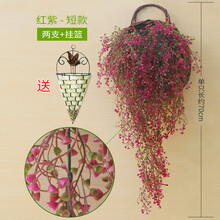 創(chuàng)意掛墻，營造文藝生活的氛圍