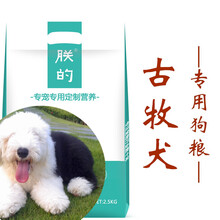 古代牧羊犬
