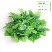 精美花瓶，給你一個(gè)浪漫的家