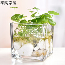 復古花瓶，讓你的家變成藝術美人