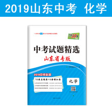 2019中考化學