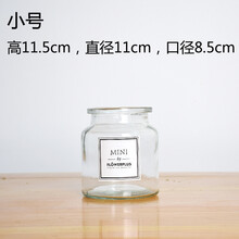 周末插花，只差一個玻璃養(yǎng)生壺