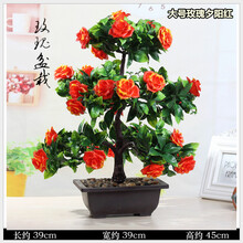 創(chuàng)意花瓶，打造溫馨家居生活