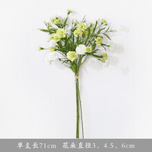 精美創(chuàng)意花瓶，讓生活不再單調！
