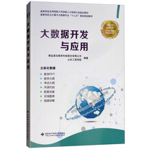 大數(shù)據(jù)開發(fā)
