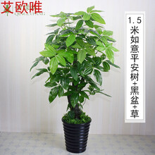 精美田園風(fēng)花瓶，打造浪漫生活