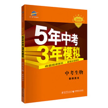 中考專項