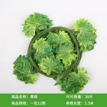 創(chuàng)意玻璃花瓶，打造精致田園風(fēng)