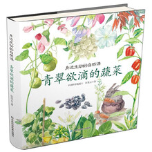 蔬菜