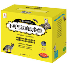 動物套裝