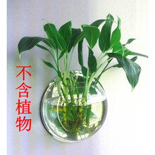美式花瓶，讓你的家四季如春
