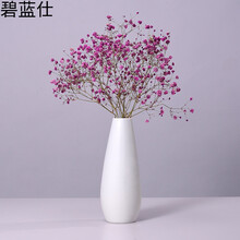 簡(jiǎn)約創(chuàng)意花瓶，裝點(diǎn)你的藝術(shù)生活