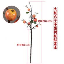 ��ô��,����,����,��ƿ,��ƿ,����,����