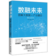 大數(shù)據(jù)產(chǎn)業(yè)