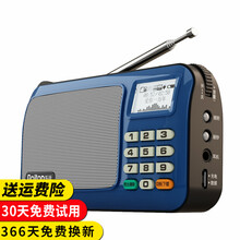 樂廷（Rolton） W505 音箱/音響 寶石藍8G卡+送4000首歌曲+點歌本