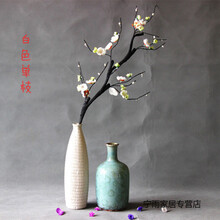 精致花瓶，讓你的客廳不再單調(diào)