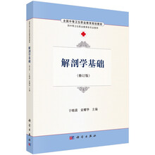 解剖學(xué)基礎(chǔ)