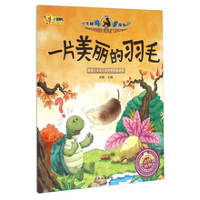 美