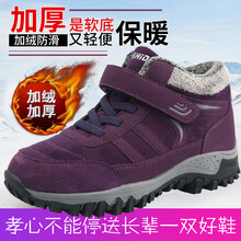 閩貝迪男士紫色-加絨媽媽款 40