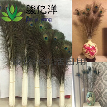 精致歐式擺件，讓客廳不再單調！
