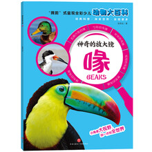 放大鏡