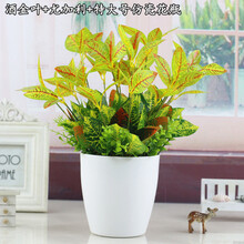 復(fù)古玻璃花瓶，讓生活更有情調(diào)