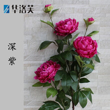 生態(tài)花瓶，打造精致之家