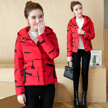 婭世荔（YASLEAD） 立領(lǐng) 長(cháng)袖 女 短外套 拼接，印花