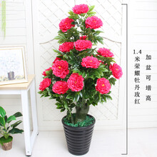精致生態(tài)花架，打造浪漫田園風