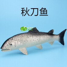 環(huán)保塑料書桌，讓家變得更健康
